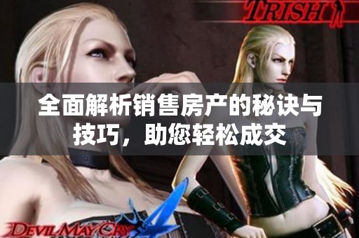 全面解析销售房产的秘诀与技巧，助您轻松成交