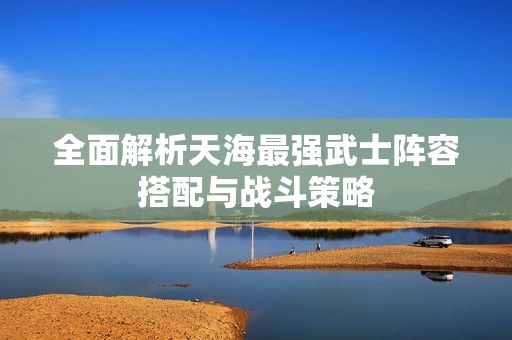 全面解析天海最强武士阵容搭配与战斗策略