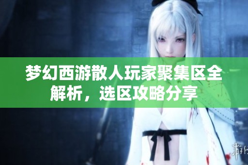 梦幻西游散人玩家聚集区全解析，选区攻略分享