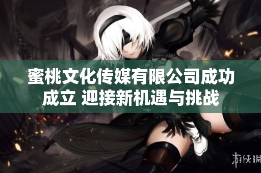 蜜桃文化传媒有限公司成功成立 迎接新机遇与挑战