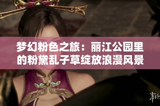 梦幻粉色之旅：丽江公园里的粉黛乱子草绽放浪漫风景
