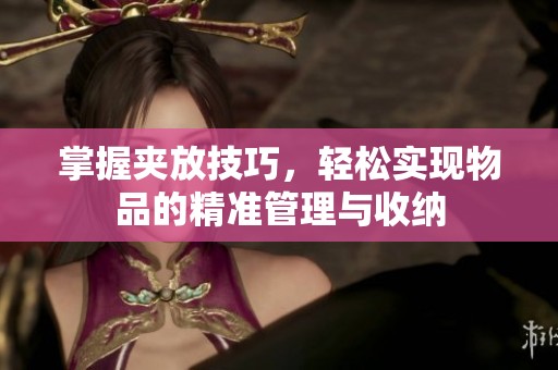 掌握夹放技巧，轻松实现物品的精准管理与收纳