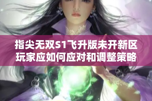 指尖无双S1飞升版未开新区玩家应如何应对和调整策略