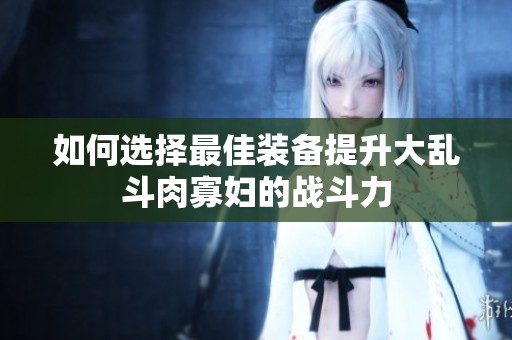 如何选择最佳装备提升大乱斗肉寡妇的战斗力