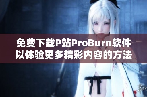 免费下载P站ProBurn软件以体验更多精彩内容的方法分享