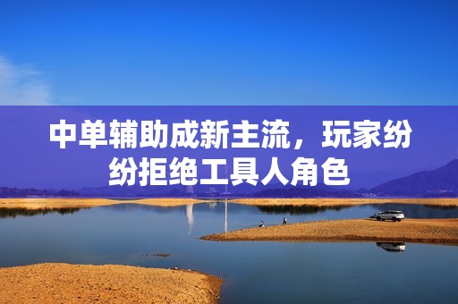 中单辅助成新主流，玩家纷纷拒绝工具人角色