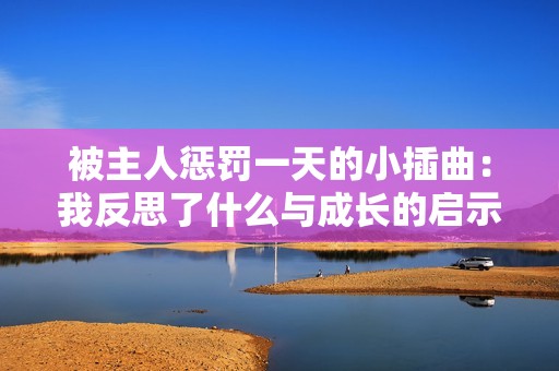 被主人惩罚一天的小插曲：我反思了什么与成长的启示