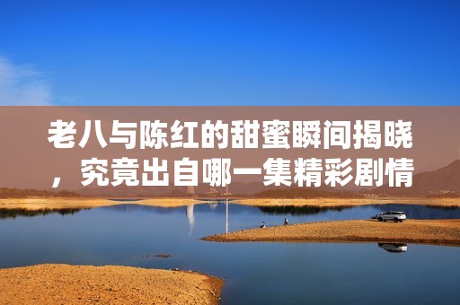 老八与陈红的甜蜜瞬间揭晓，究竟出自哪一集精彩剧情