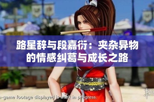 路星辞与段嘉衍：夹杂异物的情感纠葛与成长之路