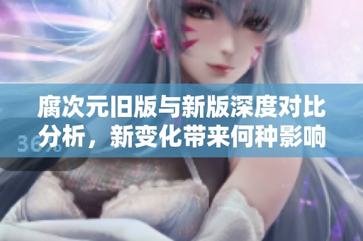 腐次元旧版与新版深度对比分析，新变化带来何种影响？