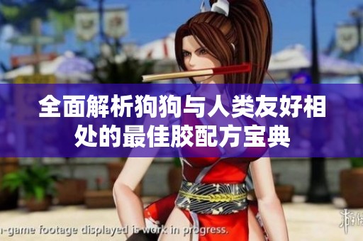 全面解析狗狗与人类友好相处的最佳胶配方宝典