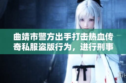 曲靖市警方出手打击热血传奇私服盗版行为，进行刑事拘留行动