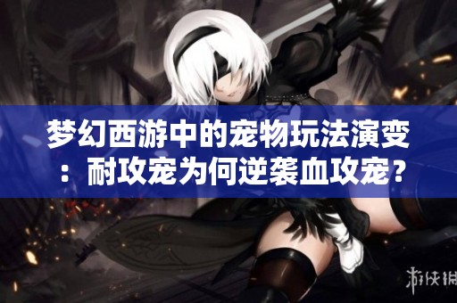 梦幻西游中的宠物玩法演变：耐攻宠为何逆袭血攻宠？
