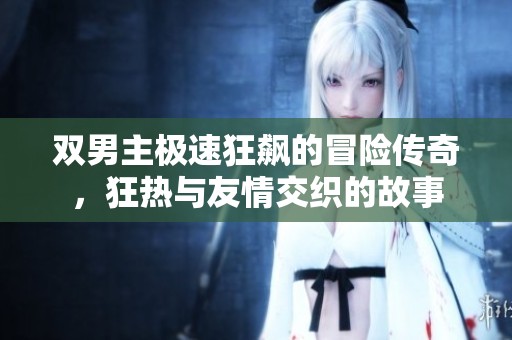 双男主极速狂飙的冒险传奇，狂热与友情交织的故事