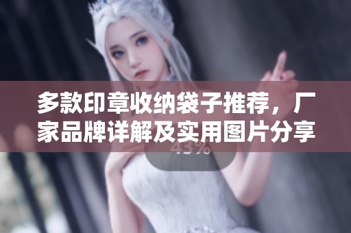 多款印章收纳袋子推荐，厂家品牌详解及实用图片分享