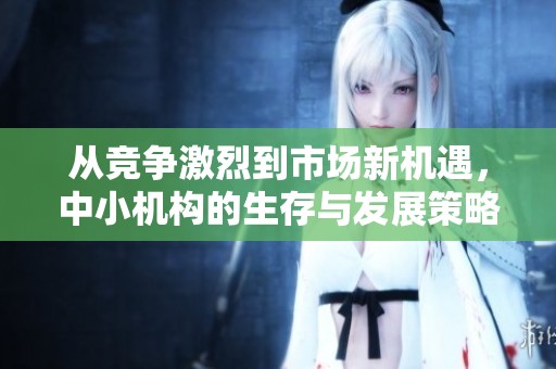 从竞争激烈到市场新机遇，中小机构的生存与发展策略解析