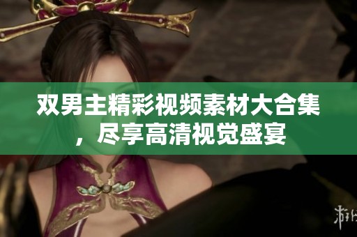 双男主精彩视频素材大合集，尽享高清视觉盛宴
