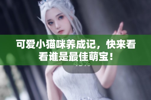 可爱小猫咪养成记，快来看看谁是最佳萌宝！