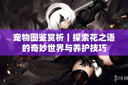 宠物图鉴赏析丨探索花之语的奇妙世界与养护技巧