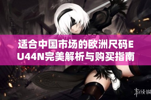 适合中国市场的欧洲尺码EU44N完美解析与购买指南