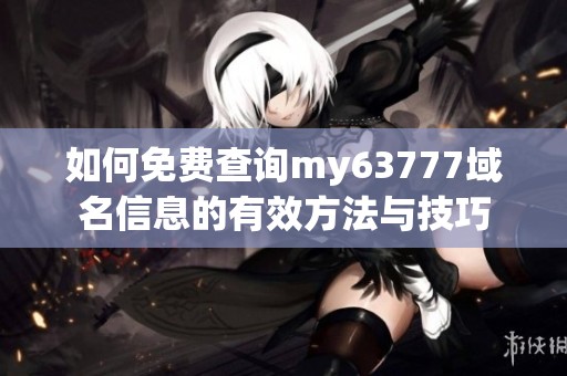 如何免费查询my63777域名信息的有效方法与技巧