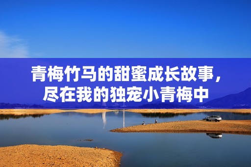 青梅竹马的甜蜜成长故事，尽在我的独宠小青梅中