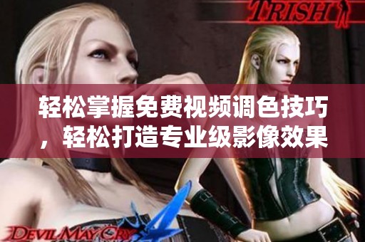 轻松掌握免费视频调色技巧，轻松打造专业级影像效果