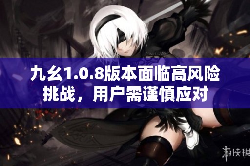 九幺1.0.8版本面临高风险挑战，用户需谨慎应对