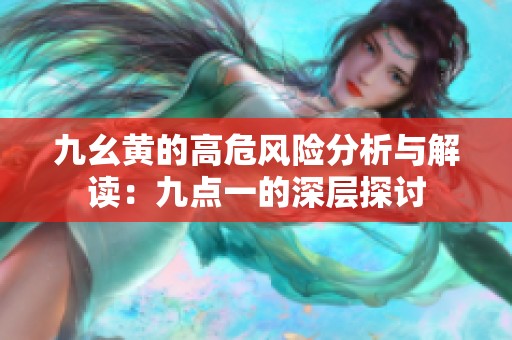九幺黄的高危风险分析与解读：九点一的深层探讨