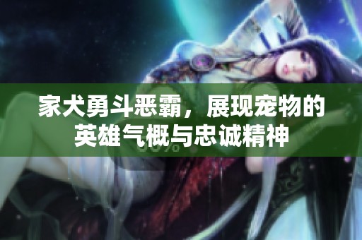 家犬勇斗恶霸，展现宠物的英雄气概与忠诚精神