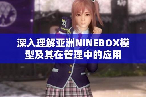 深入理解亚洲NINEBOX模型及其在管理中的应用
