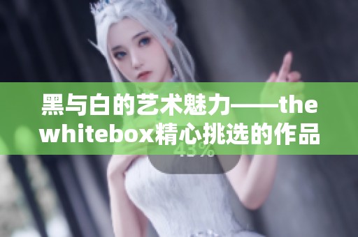 黑与白的艺术魅力——thewhitebox精心挑选的作品合集
