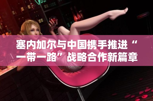 塞内加尔与中国携手推进“一带一路”战略合作新篇章