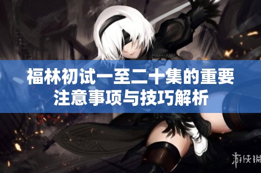 福林初试一至二十集的重要注意事项与技巧解析
