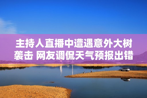 主持人直播中遭遇意外大树袭击 网友调侃天气预报出错