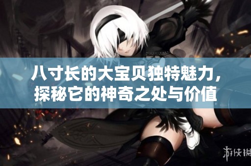 八寸长的大宝贝独特魅力，探秘它的神奇之处与价值
