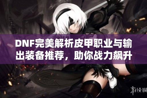 DNF完美解析皮甲职业与输出装备推荐，助你战力飙升！