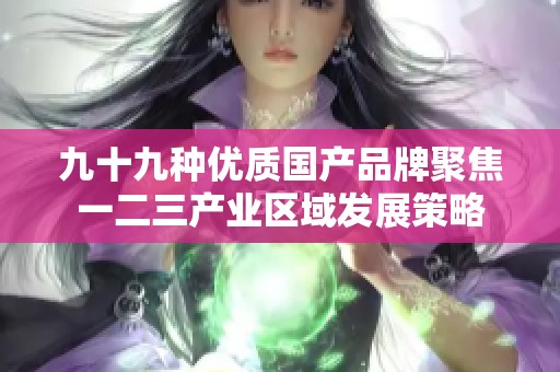 九十九种优质国产品牌聚焦一二三产业区域发展策略