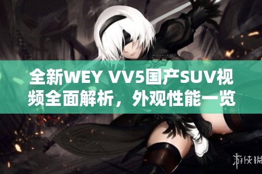 全新WEY VV5国产SUV视频全面解析，外观性能一览无遗