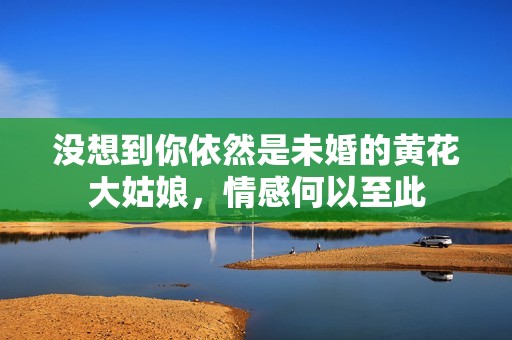 没想到你依然是未婚的黄花大姑娘，情感何以至此