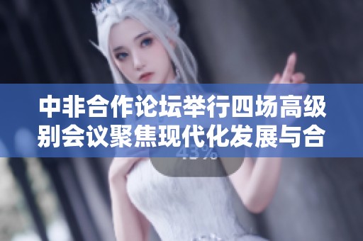 中非合作论坛举行四场高级别会议聚焦现代化发展与合作