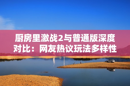 厨房里激战2与普通版深度对比：网友热议玩法多样性和翻倍乐趣！