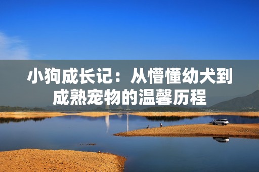 小狗成长记：从懵懂幼犬到成熟宠物的温馨历程