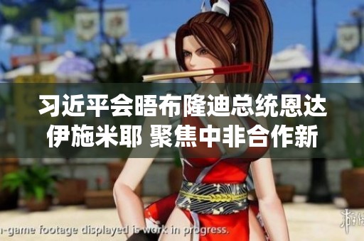 习近平会晤布隆迪总统恩达伊施米耶 聚焦中非合作新机遇