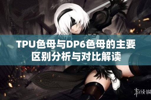 TPU色母与DP6色母的主要区别分析与对比解读