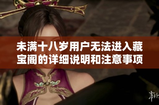 未满十八岁用户无法进入藏宝阁的详细说明和注意事项