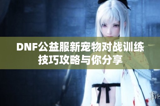 DNF公益服新宠物对战训练技巧攻略与你分享