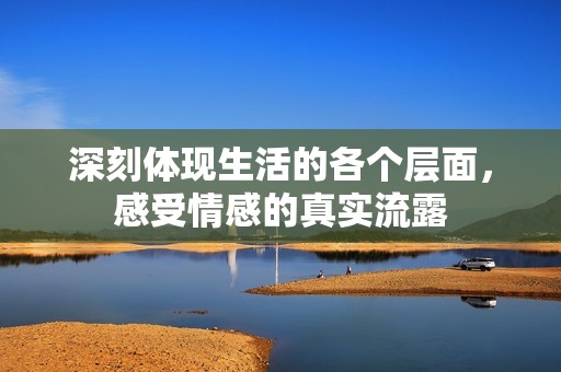 深刻体现生活的各个层面，感受情感的真实流露