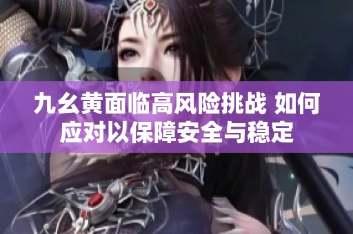 九幺黄面临高风险挑战 如何应对以保障安全与稳定