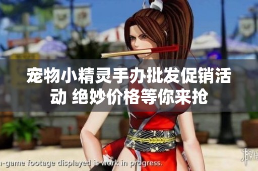 宠物小精灵手办批发促销活动 绝妙价格等你来抢